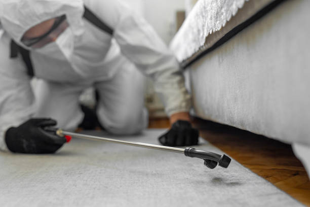 Professional Bed Bug Control technician working in Rosedale, CA